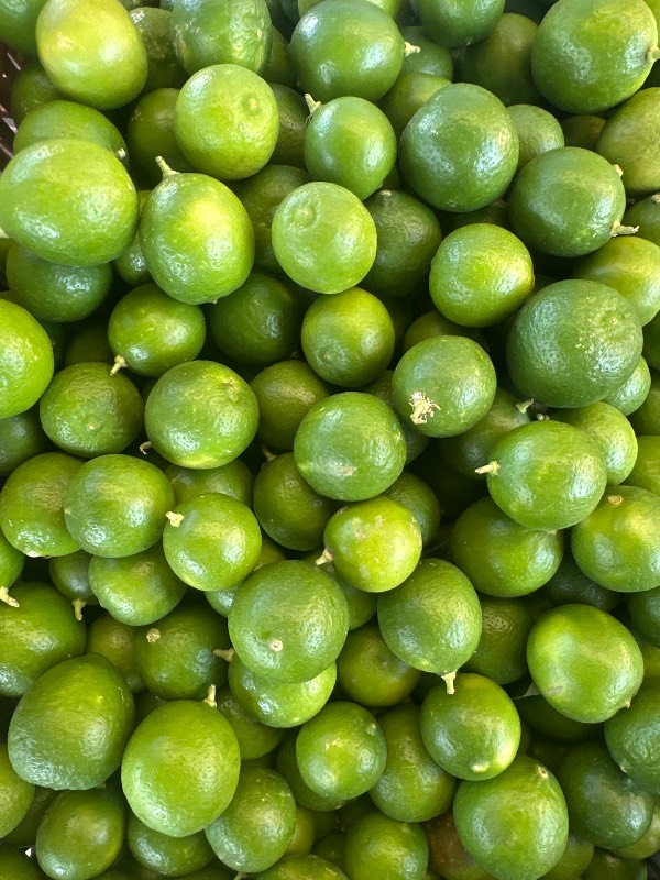 Limón criollo