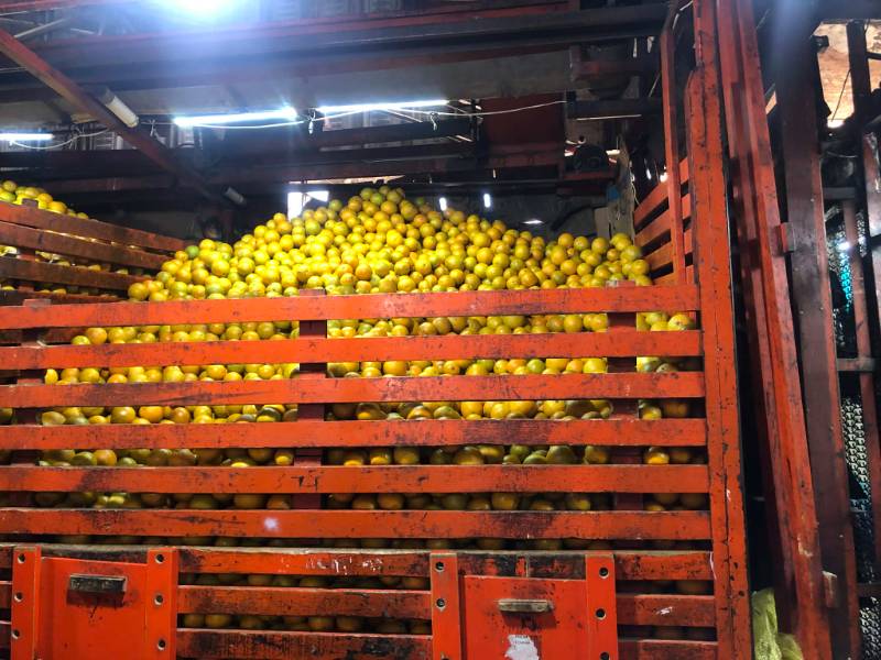 Naranjas
